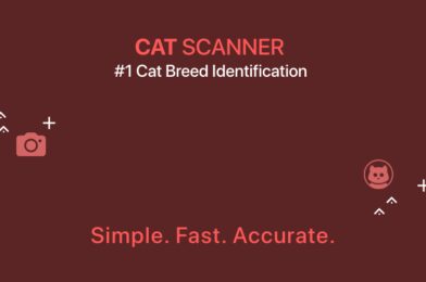 Download Cat Scanner v19.0.0-G APK + MOD (Premium Unlocked) MOD APK 2025