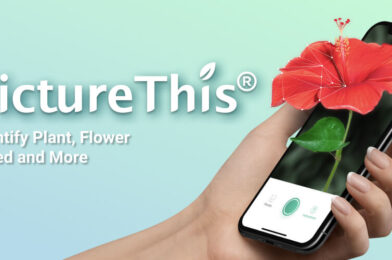 PictureThis v5.11.0 MOD APK (Premium Unlocked) Download MOD APK 2025