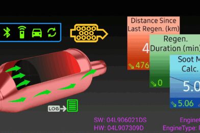 VAG DPF MOD APK 2025